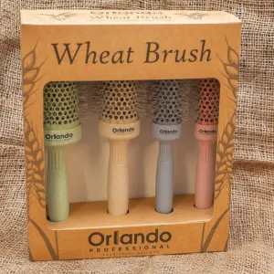 Orlando Professional Wheat Brush Set